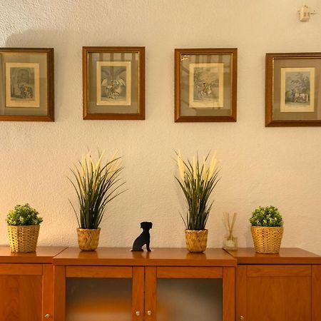 Apartamento Siglo De Oro Σεβίλλη Εξωτερικό φωτογραφία